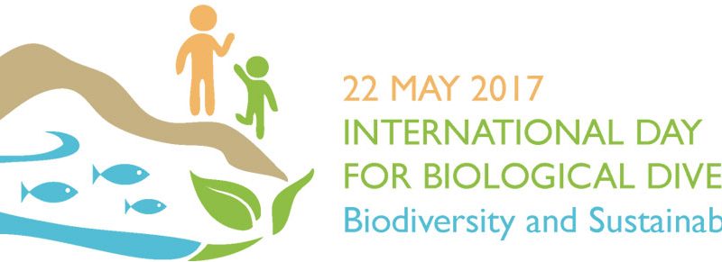 Biologiska mångfaldens dag på Ölands folkhögskola!