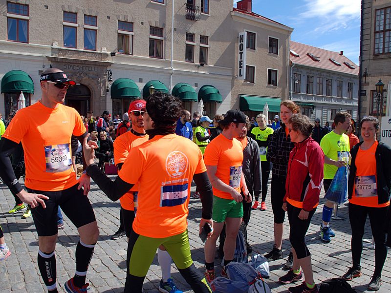 Wings for Life World Run