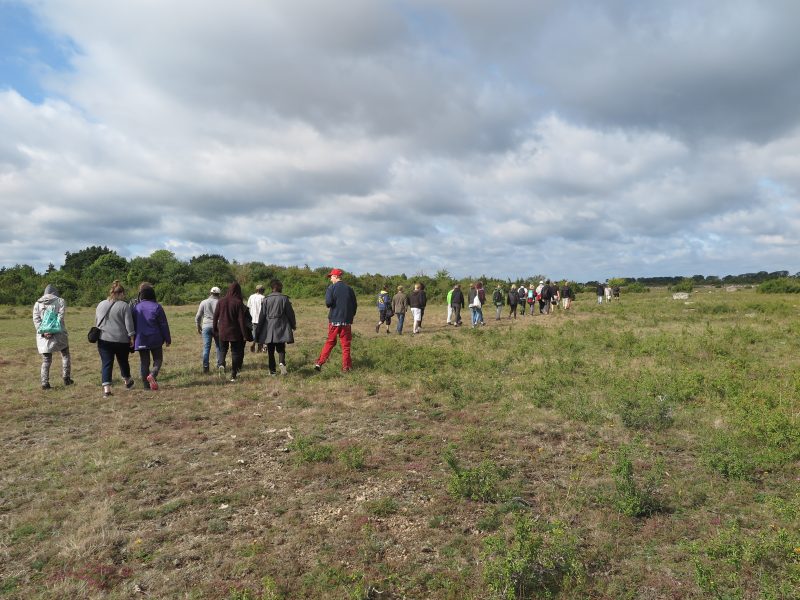 Vandring på alvaret