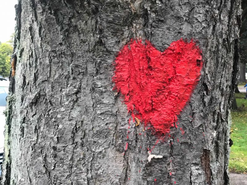 Kalmarsund pride 2017