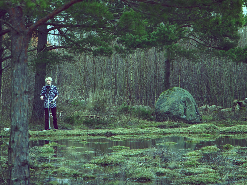 DIGITAL DETOX I MITTLANDSSKOGEN