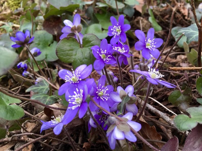 Just nu på Scenkonstskolan
