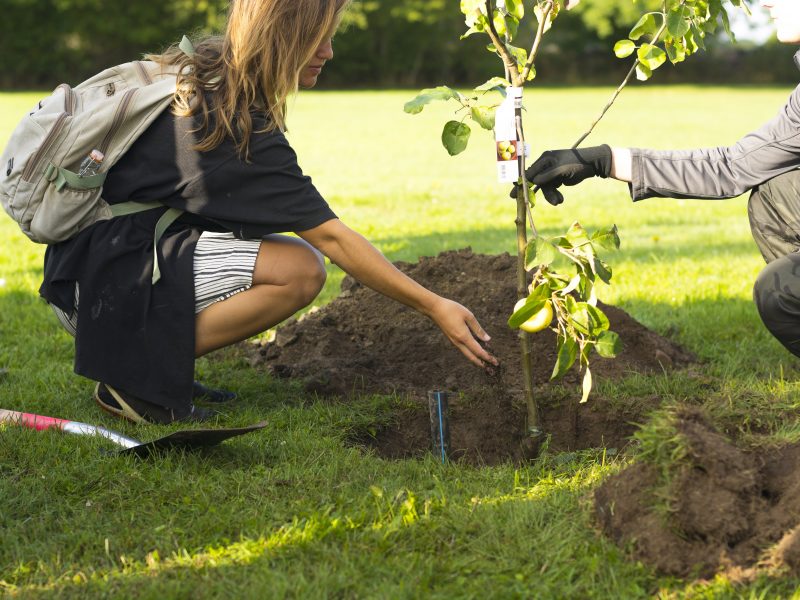 Att bli bättre på hållbarhet