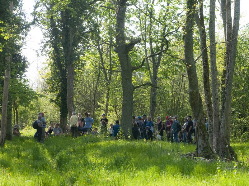 Flera sommarkurser fulltecknade