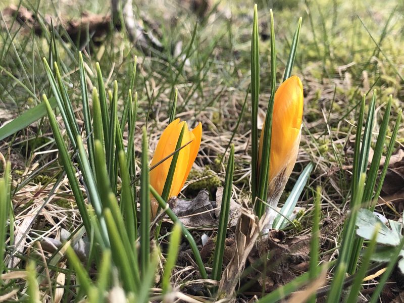 Måndagsmötet 22 mars