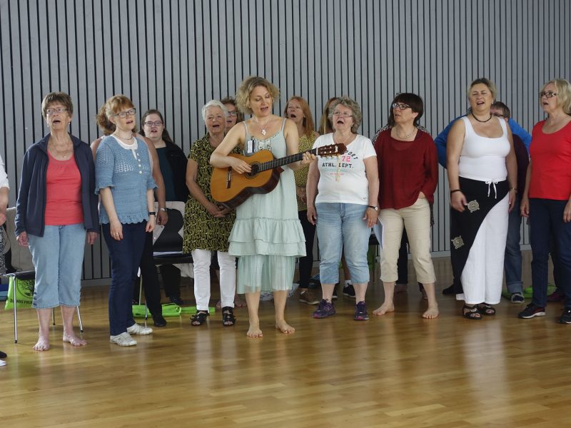 Gå en sommarkurs i sommar!