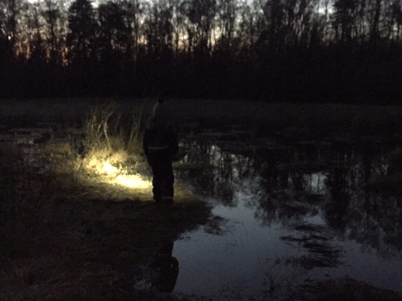 Aktion: Nya perspektiv