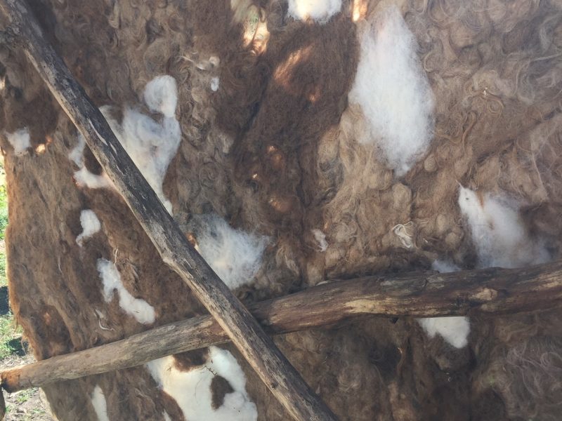 Aktion: Små handlingar gör också skillnad