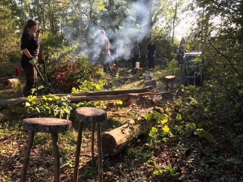 Ny kurs: Leva med skogen