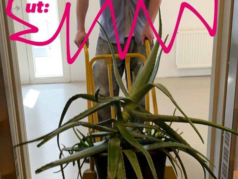 En vanlig dag på Designskolan