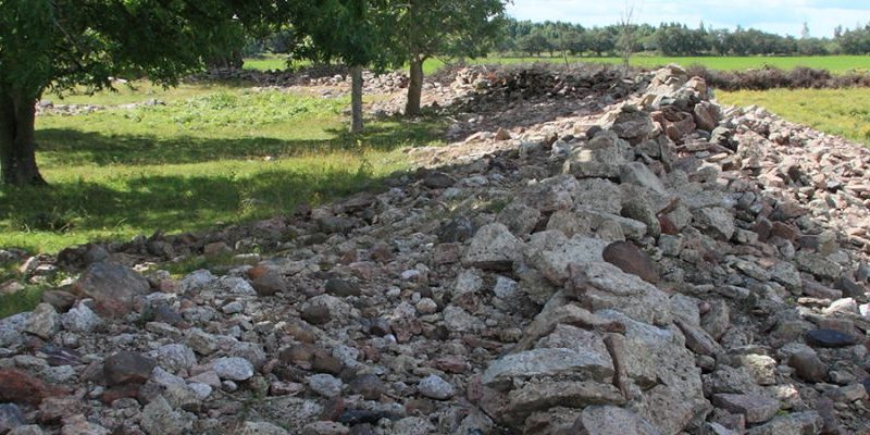 Nya upptäckter i Treby borg 4/12