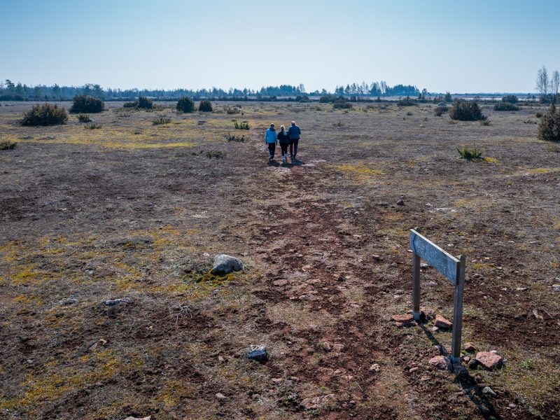 Ta en titt på sommarkurserna 2025!
